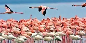 2 میلیون ایرانی طی ده سال مهاجرت کردند / خروج سرمایه انسانی یعنی  رفتن زیرساخت دانایی و توسعه کشور