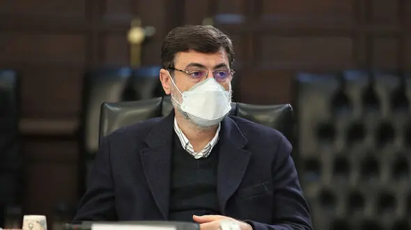 قاضی زاده هاشمی: برای مهار کرونا باید کشور را تا 3 هفته تعطیل کنیم