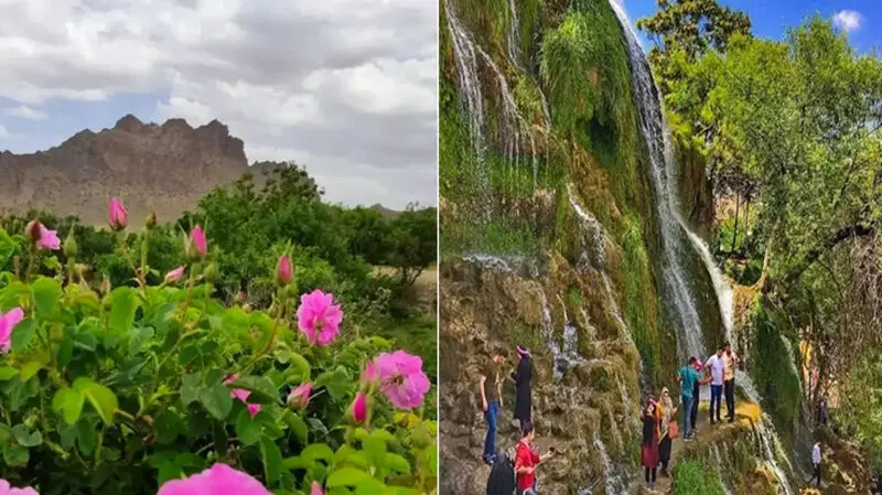 کاشان