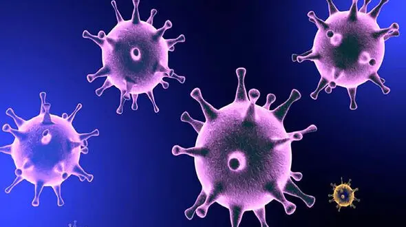 یک یافته جدید دیگر از کرونا / ماجرای این ویروس پیچیده شد + جزییات