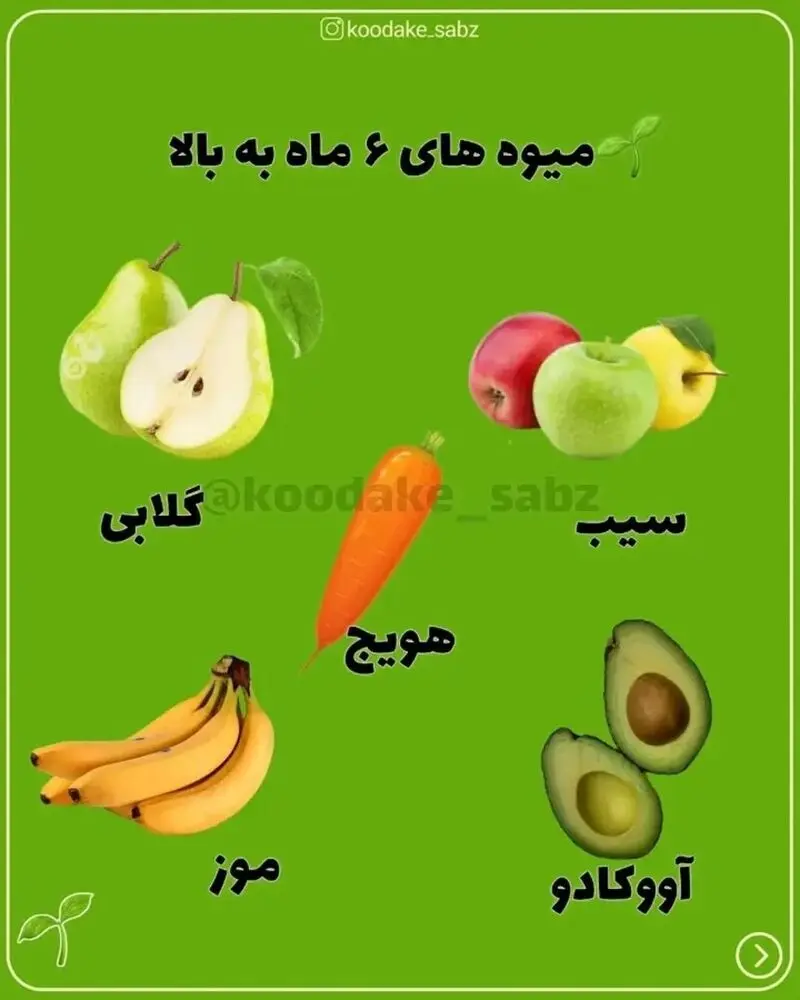 میوه های 6 ماه به بالا