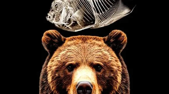 از شکستگی فک خرس تا سی تی اسکن ماهی