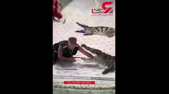 شوخی خطرناک با کروکودیل کار دست مربی داد! +فیلم 