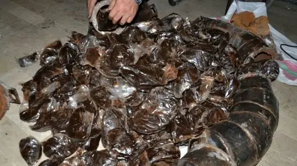 کشف موادمخدر از داخل رینگ کامیون در شهرستان قدس  