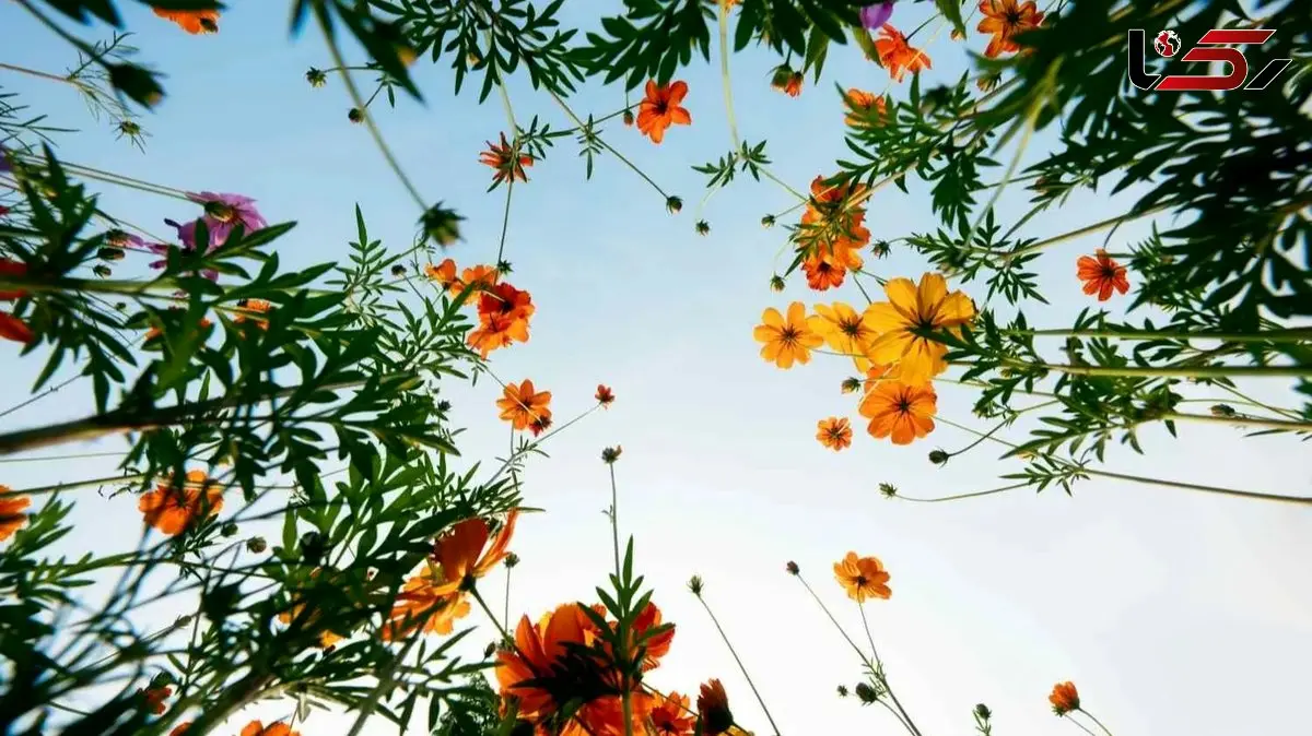 راهکارهای ساده و کاربردی برای فرار از روزهای کسل‌ کننده