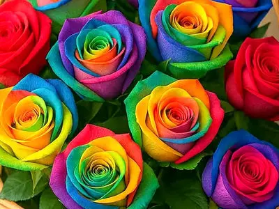 فال و طالع بینی امروز 2 فروردین 1405