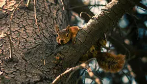 فال ابجد مخصوص 16 آذر