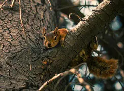 فال ابجد مخصوص 16 آذر