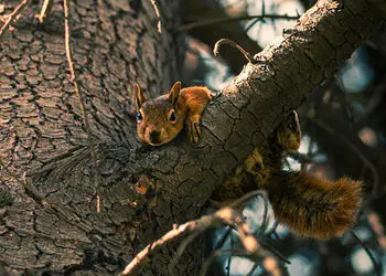 فال ابجد مخصوص 16 آذر