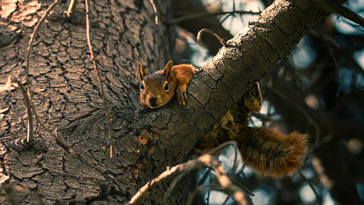 فال ابجد مخصوص 16 آذر