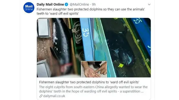 سلاخی وحشتناک دو دلفین برای رهایی از ارواح شیطانی + عکس