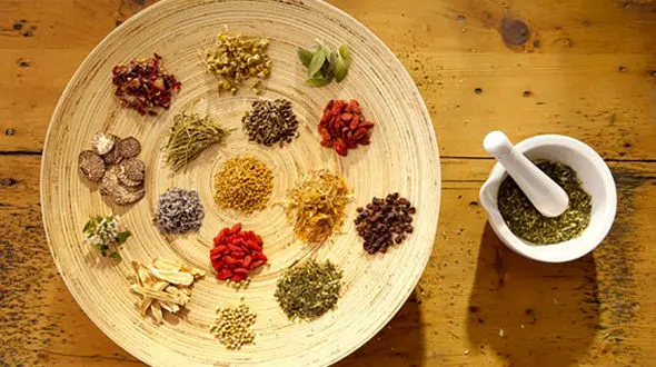 مُسکن های  گیاهی تکسین دهنده دردهای بدن