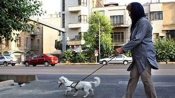 تفریحات نامتعارف لاکچری ها در لواسان/ خریدن سگ های خاص برای کارهای عجیب