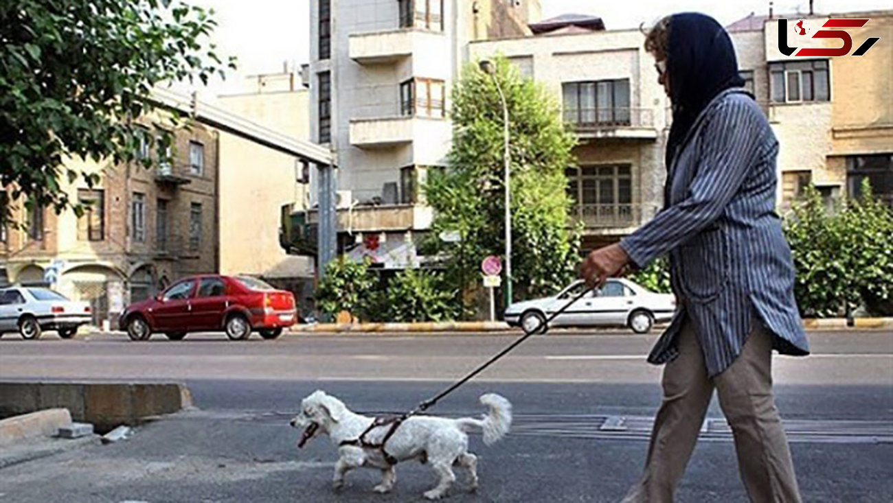 سگ گردانی در تهران ممنوع شد/ مجازات سنگین در انتظار متخلفان