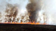 آتش سوزی در 20 هکتار از مراتع و مزارع شهرستان مهران