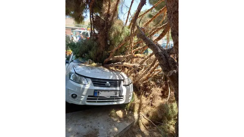 سقوط جرثقیل