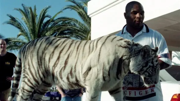 تایسون ببرش را می فروشد!