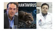 تقابل هشدار ویروس‌شناسان با خوش‌بینی رسمی مقامات وزارت بهداشت/ پروفسور ناجی: هانتاویروس به ایران نزدیک است/ معاون وزیر بهداشت: جای نگرانی نیست