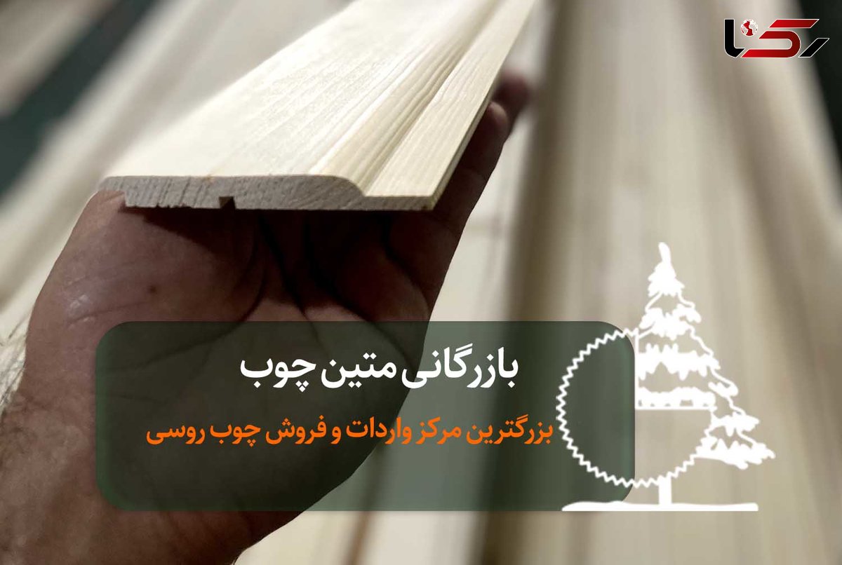  راهنمای جامع خرید چوب روسی و لمبه چوبی با کیفیت بالا و قیمت مقرون به صرفه 