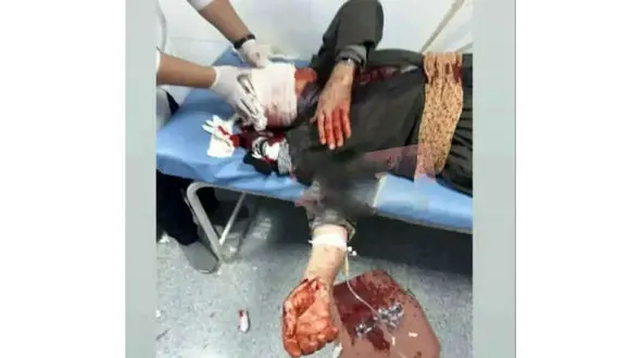 فیلم دریده شدن 3 مرد جوانرود ی توسط گرگ وحشی  !