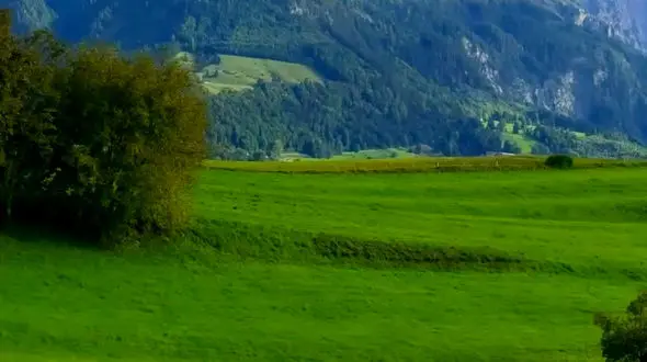 هر لحظه از زندگی، یک فرصت است