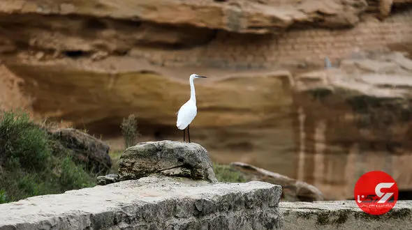 20 عکس از سد گتوند و سازه آبی شهر شوشتر 