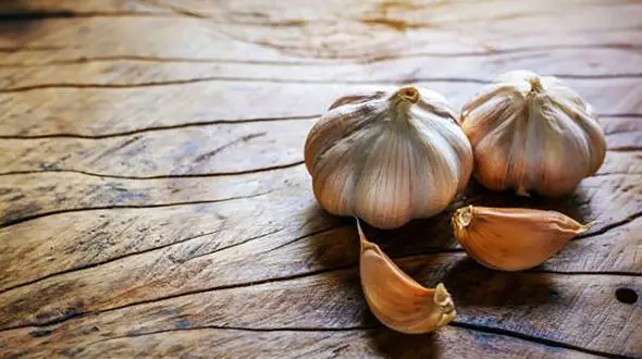 ناشتا سیر خام بخورید + دلایل 