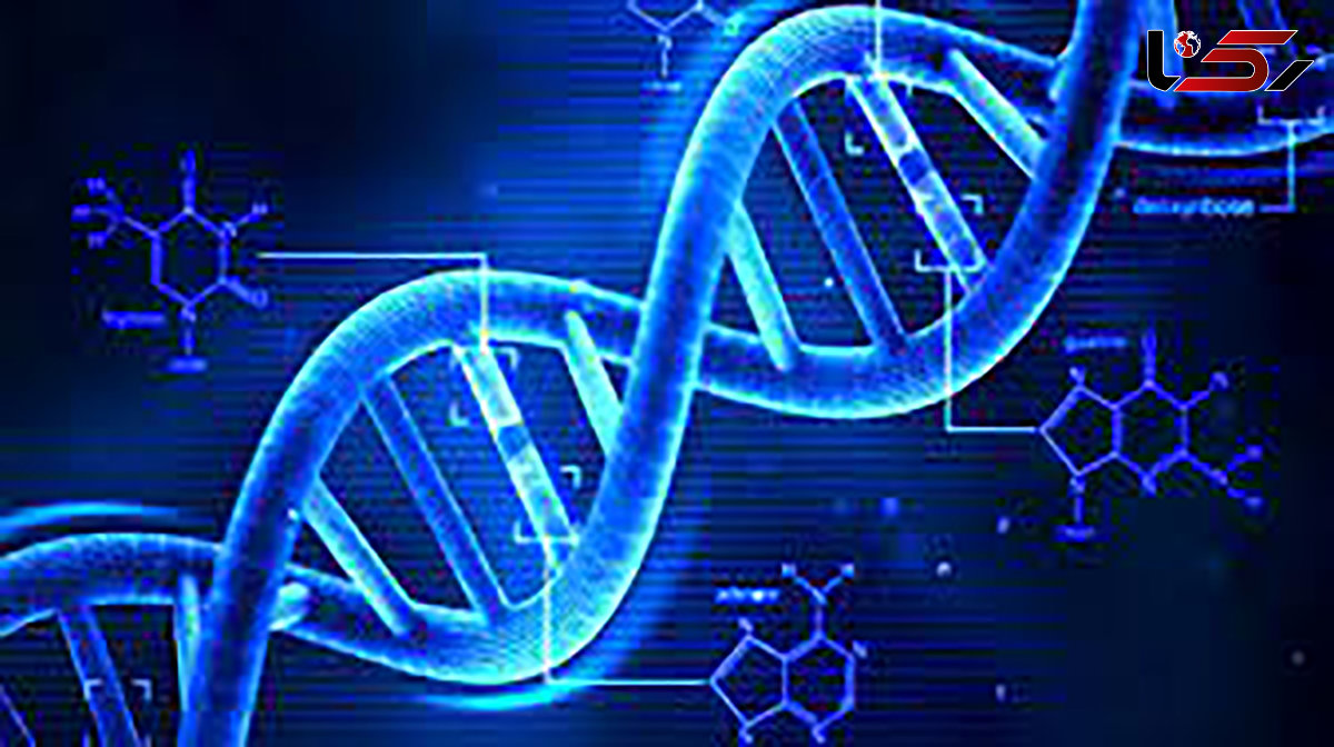 14 حقیقت جالب از دنیای DNA 