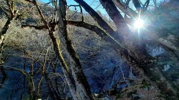 جذاب‌ ترین تصاویر پاییزی از آبشار چمازچال گرگان