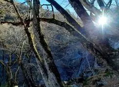 جذاب‌ ترین تصاویر پاییزی از آبشار چمازچال گرگان