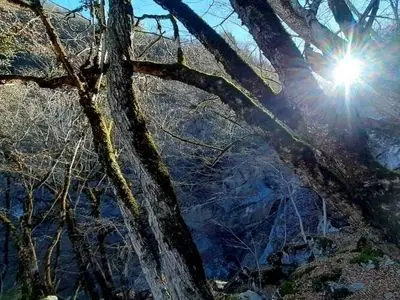 جذاب‌ ترین تصاویر پاییزی از آبشار چمازچال گرگان