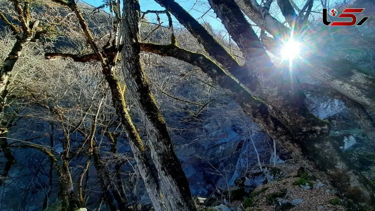 جذاب‌ ترین تصاویر پاییزی از آبشار چمازچال گرگان