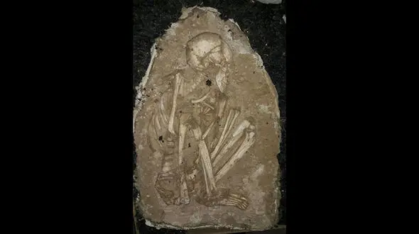 انتقال اسکلت خاتون 5500 ساله به شوش! + عکس