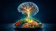 فرمول بشقاب روزانه برای تغذیه مغزتان ! / چه خوراکی هایی بخوریم ؟!