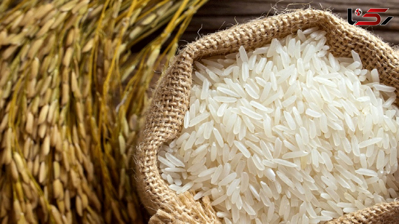 کاهش ۵۰ درصدی واردات برنج؛ مصرف برنج خارجی به ۸۰ هزار تن رسید