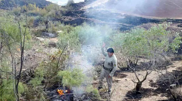 مرگ های فجیع خرس های قهوه ای و پ لنگ ها در آتش سوزی بزرگ زنجان / حیوانات در حال فرار هستند