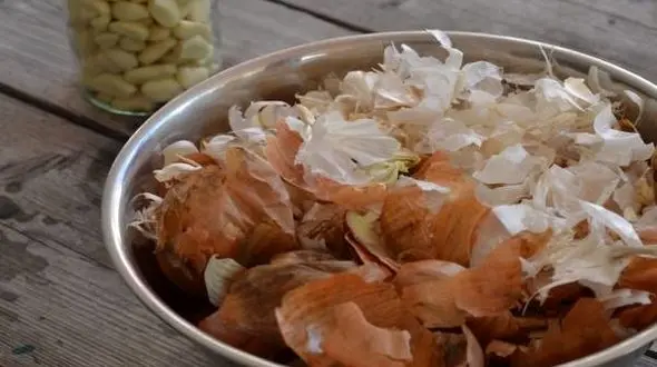 کاربردهای عجیب پوست سیر و پیاز در خانه داری