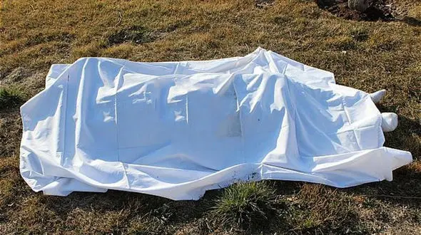 خودکشی هولناک دختربچه 10 ساله در غرب تهران