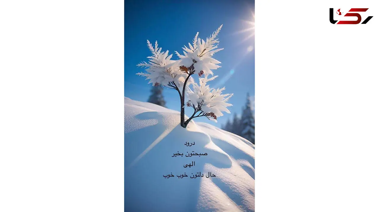 فال ابجد 11 دی