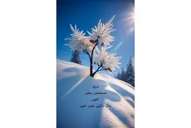 فال ابجد 11 دی