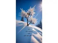 فال ابجد 11 دی