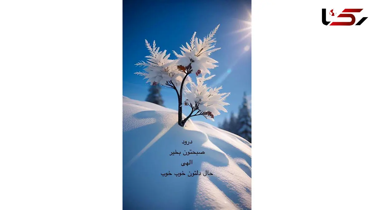 فال ابجد 11 دی