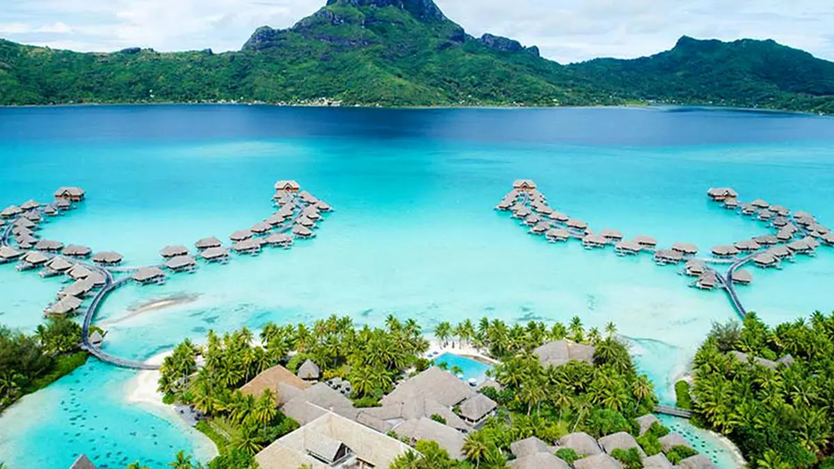 ستاره‌ای در ساحل: جزیره‌ای برای خیال‌پردازی