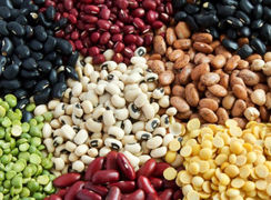 آقای وزیر جهاد کشاورزی! کجای لوبیای 500 هزار تومانی منطقی است؟