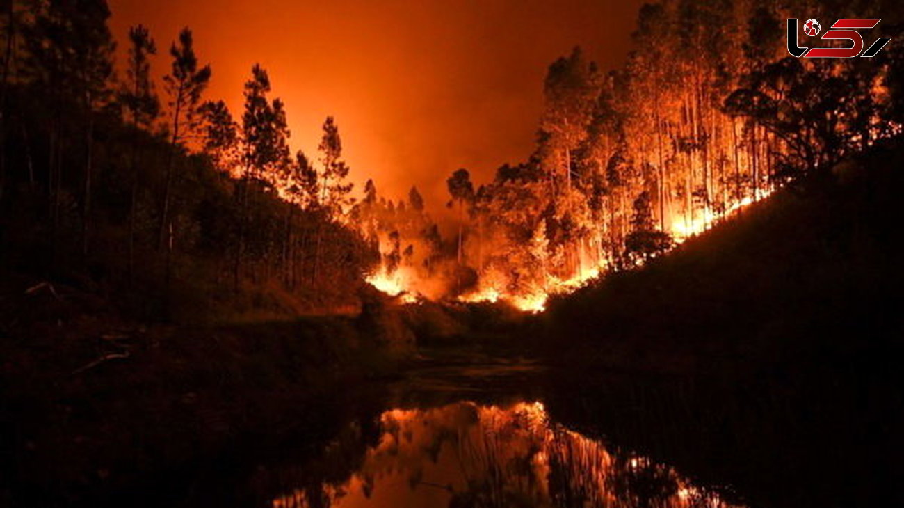 دستگیری عوامل آتش سوزی جنگل‌های استرالیا