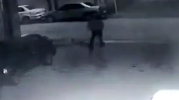 فیلم لحظه دزدی شبانه 3 مرد از جوان تهرانی / عصر دیروز رخ داد 