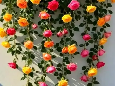 فال و طالع بینی امروز 6 بهمن 