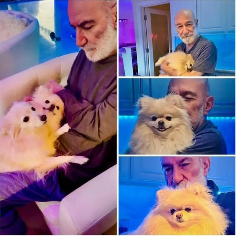 سیاوش قمیشی