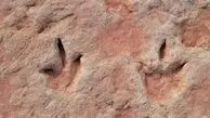 این ردپاها دروغ نمی‌گویند!