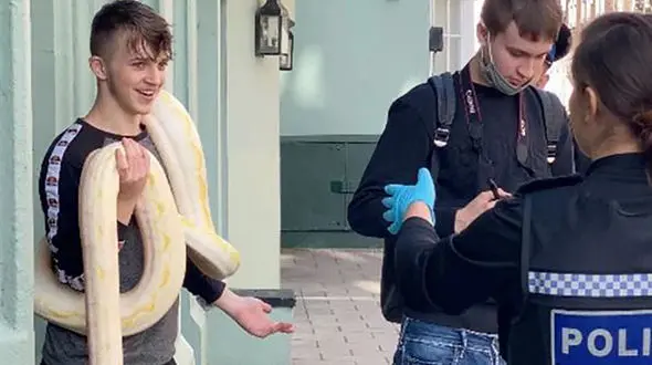 قدم زدن پسر جوان با مار پیتون در خیابان + عکس